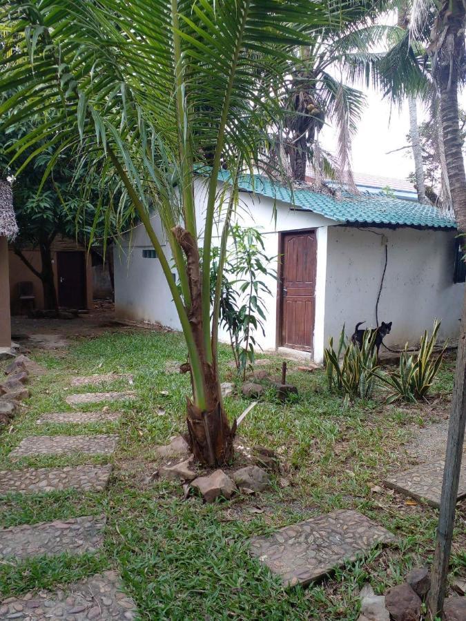 The Plantation Hostel Kampot Kültér fotó